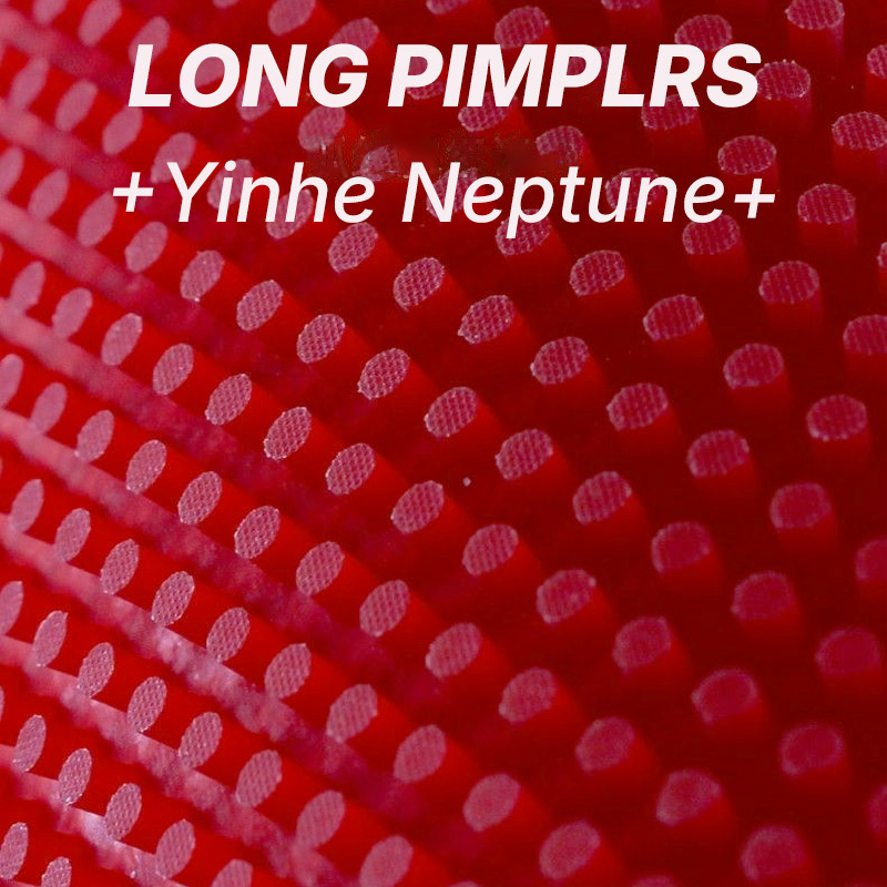 YINHE NEPTUNE Long Pimples Tab - Table Tennis Spin ulasan dan harga